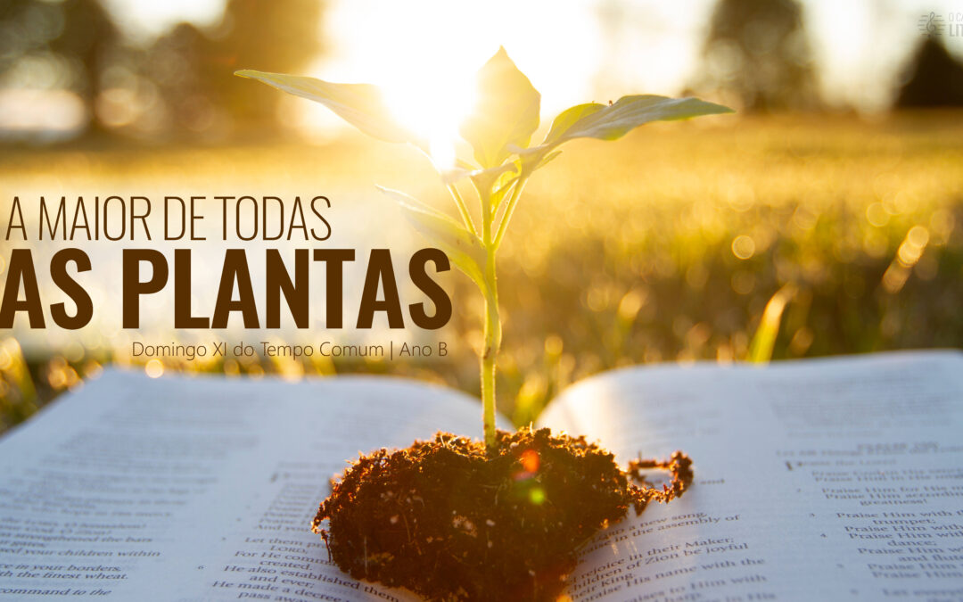 Folha Paroquial 16.06.2024 — Domingo XI Do Tempo Comum — Ano B