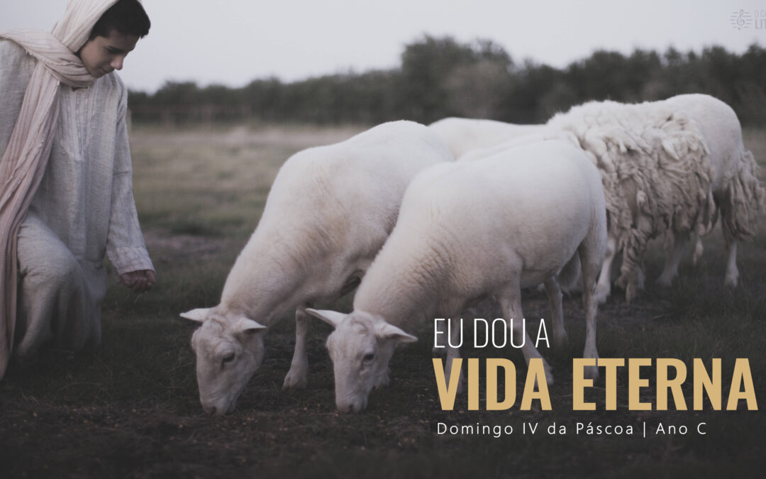 Folha Paroquial 11.05.2025 — Domingo IV de Páscoa — Ano C
