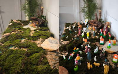 Advento em S. João Baptista