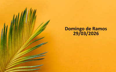 Distribuição de Ramos Igreja S. José