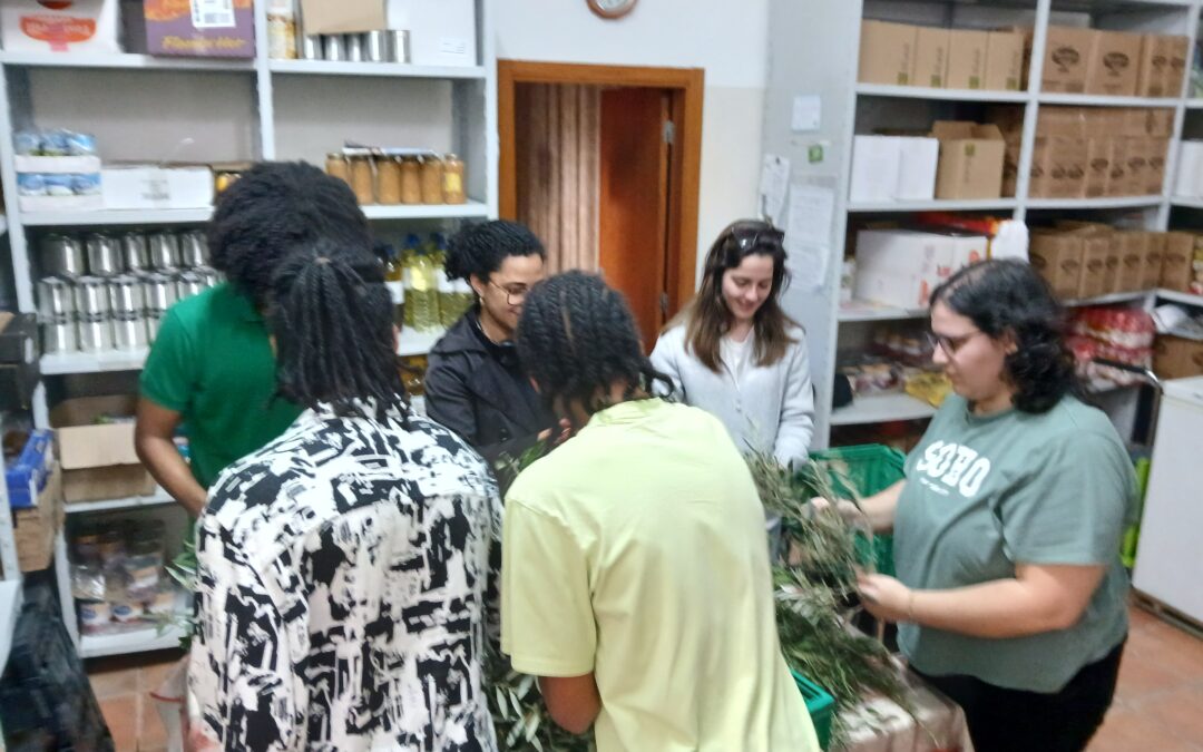 Agradecimento pelo Domingo de Ramos