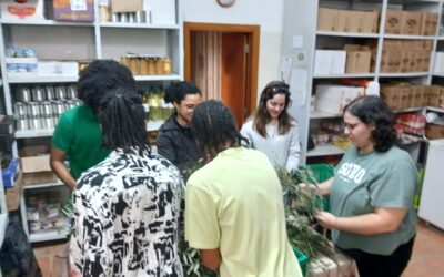 Agradecimento pelo Domingo de Ramos